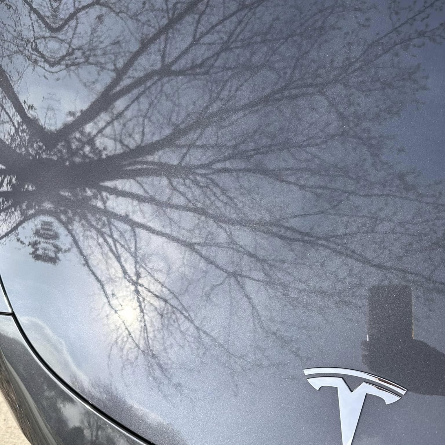 Mirror finish reflection